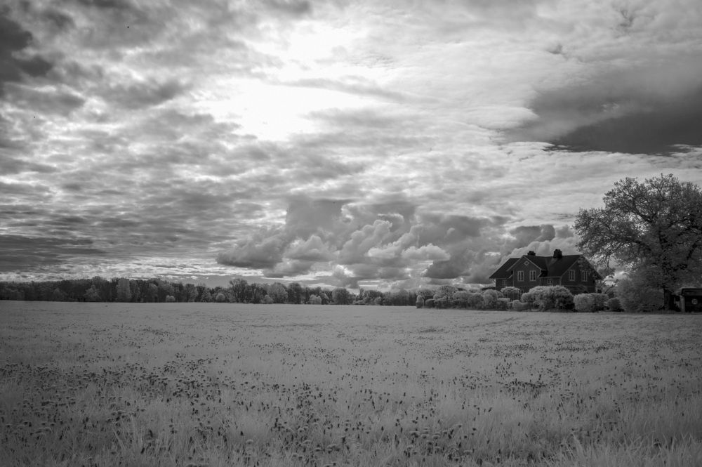 Фотография автора Ruslan Badykov