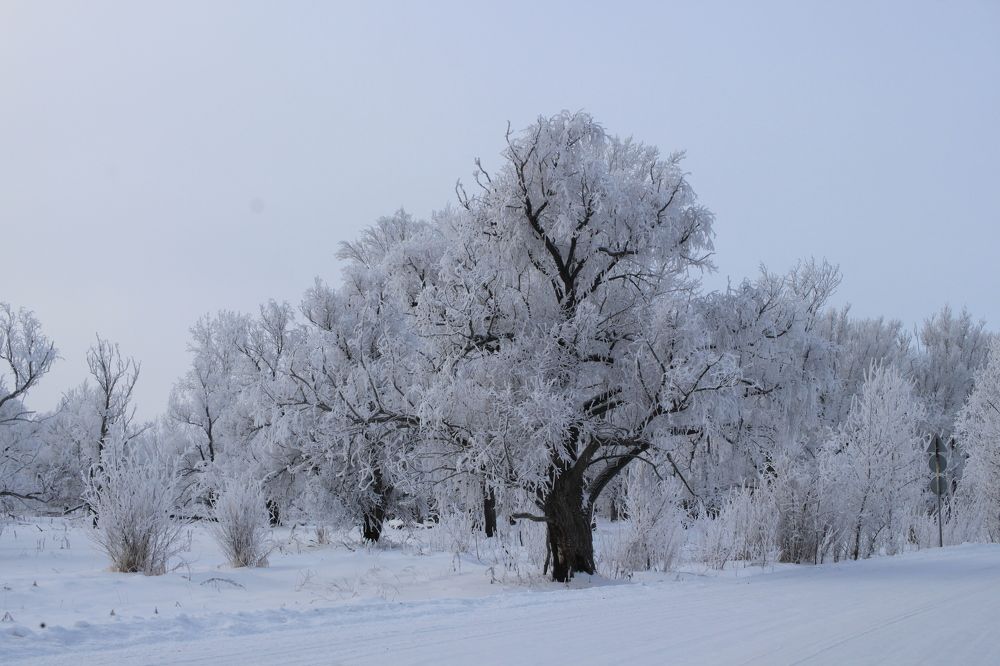 Photograph by Елена Петелина