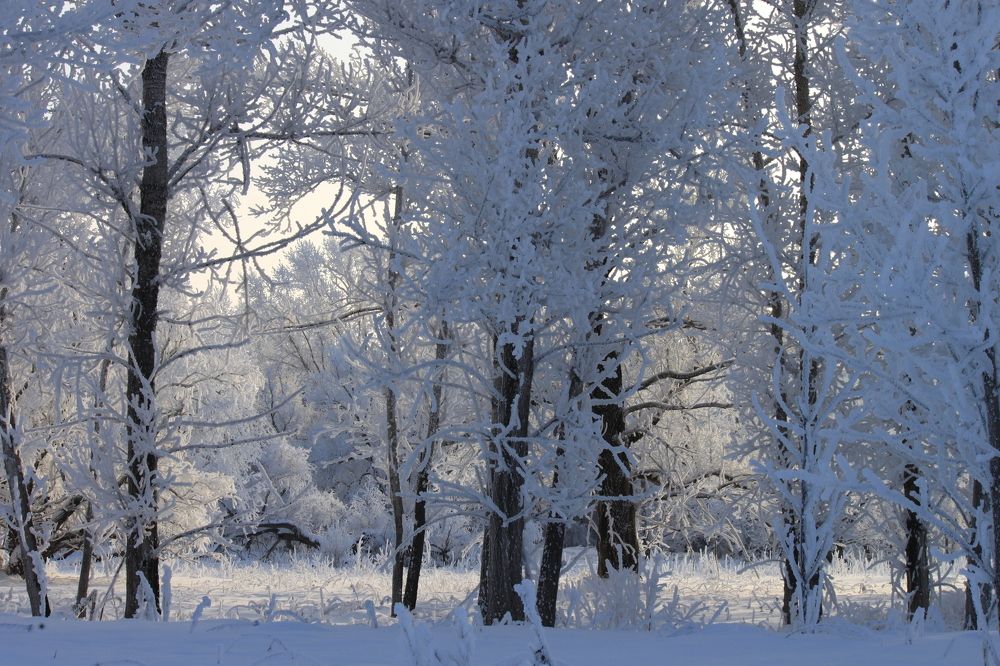 Photograph by Елена Петелина