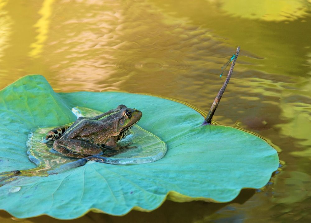 Photograph by Марина Ватанская