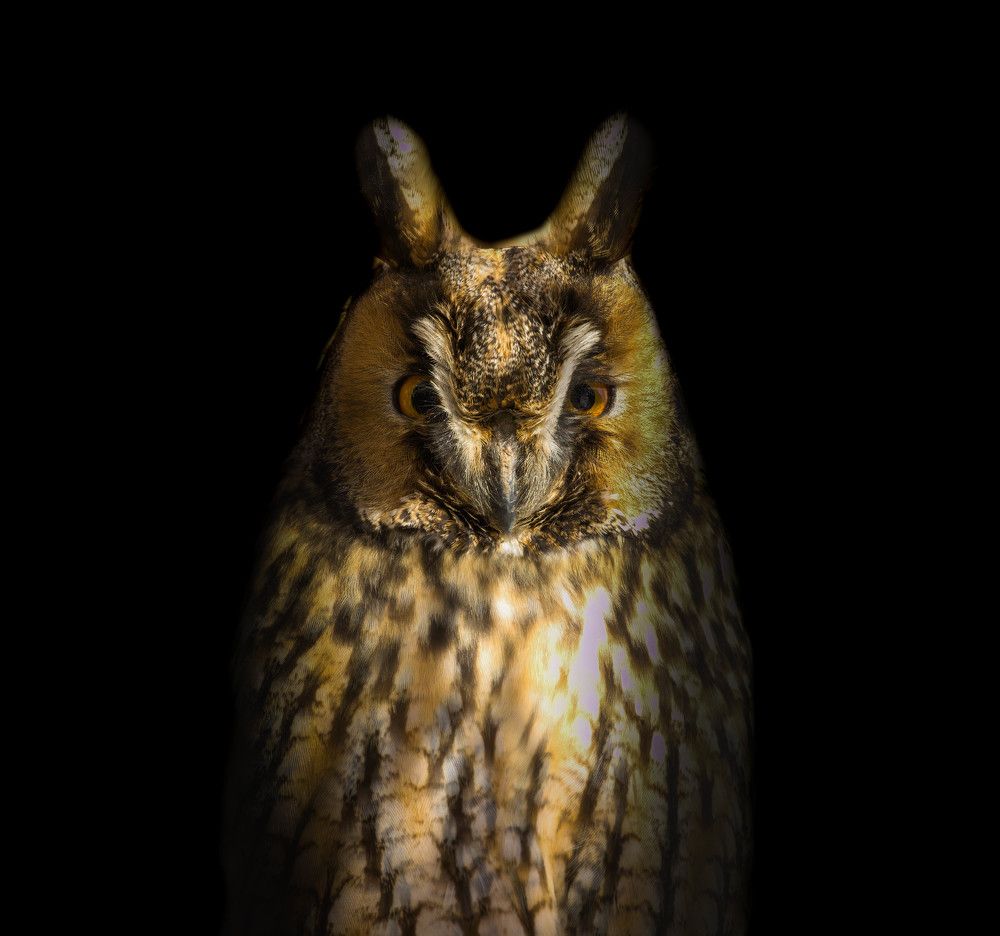 Фотография автора Sebastian Popa