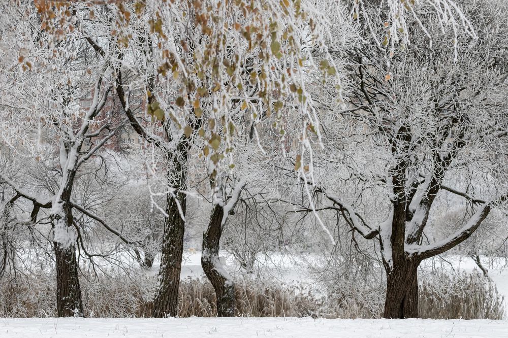 Photograph by Юлия Куликова