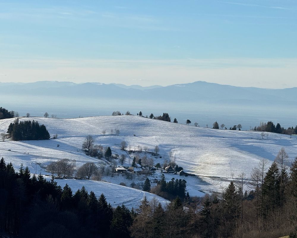 Photograph by daria eipert