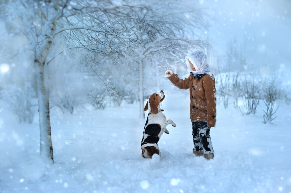 Photograph by Семисенко Яна