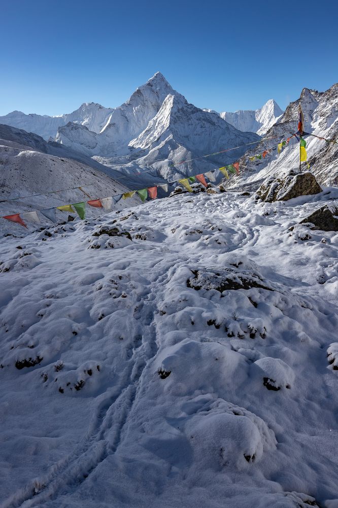 Photograph by Василий Бережной