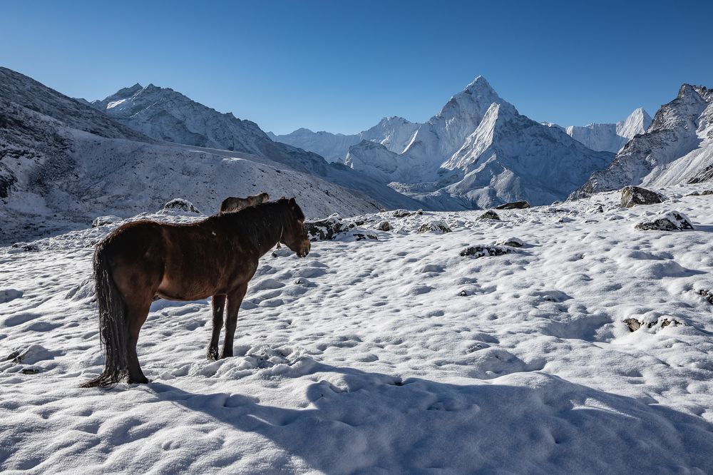 Photograph by Василий Бережной