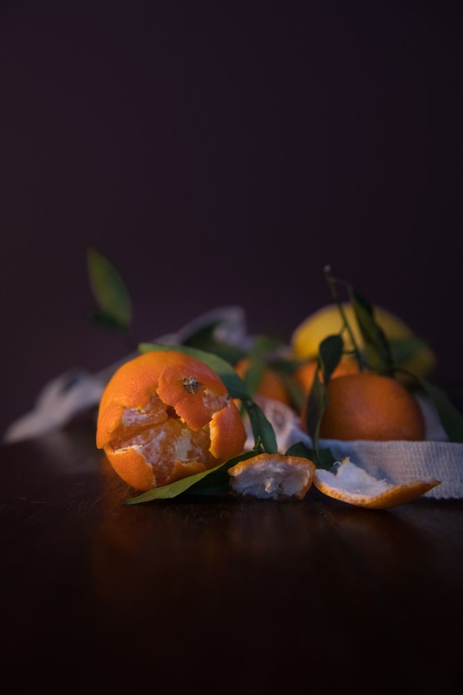 Photograph by Svetlana Schneider