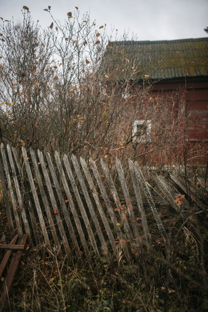 Фотография автора Татьяна Сикорская