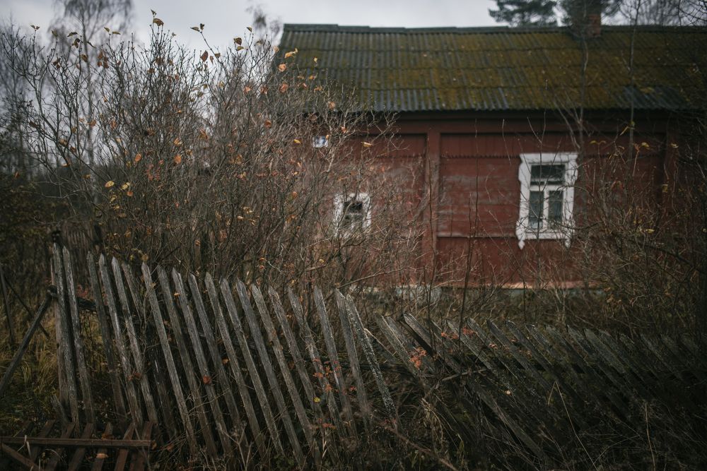 Фотография автора Татьяна Сикорская