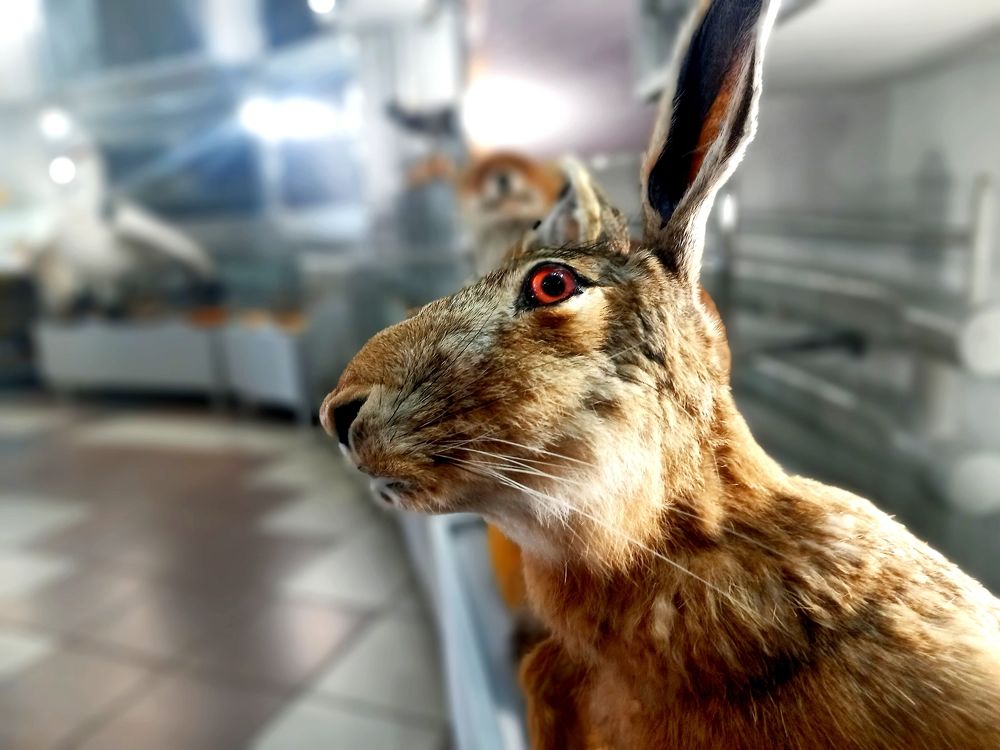 Photograph by Александр Поздняков