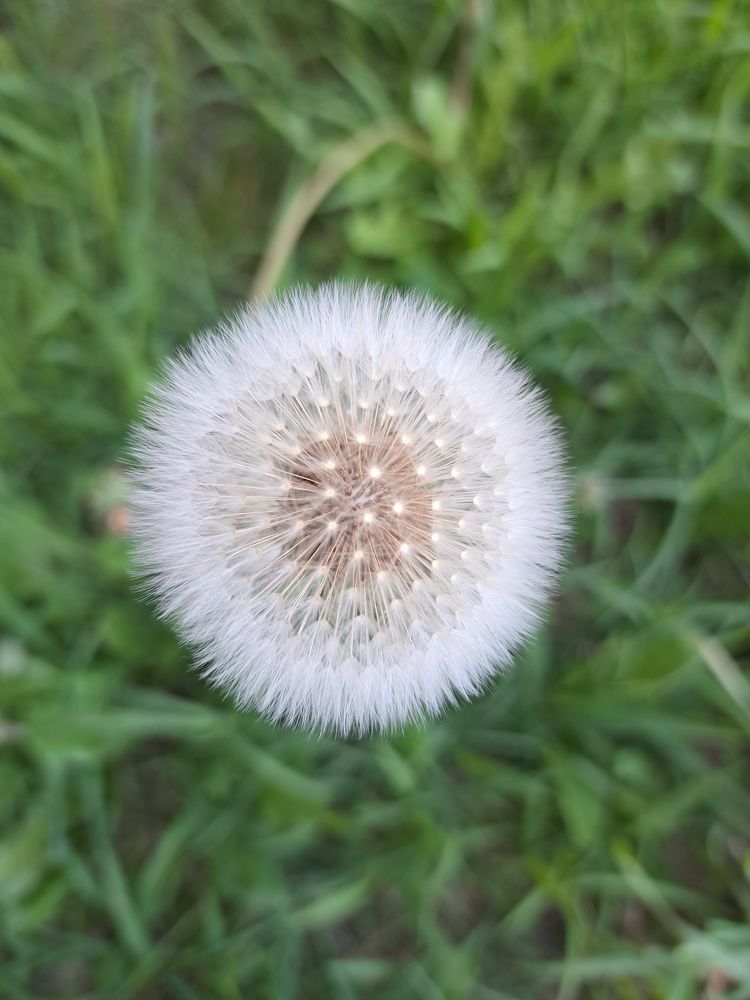 Фотография автора gustavo pecelis