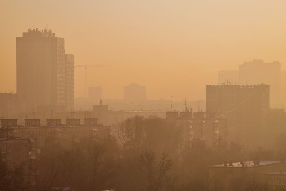 Photograph by Софья Шмидт