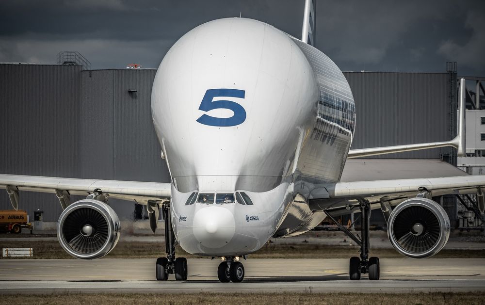 Photograph by Nicholas Art