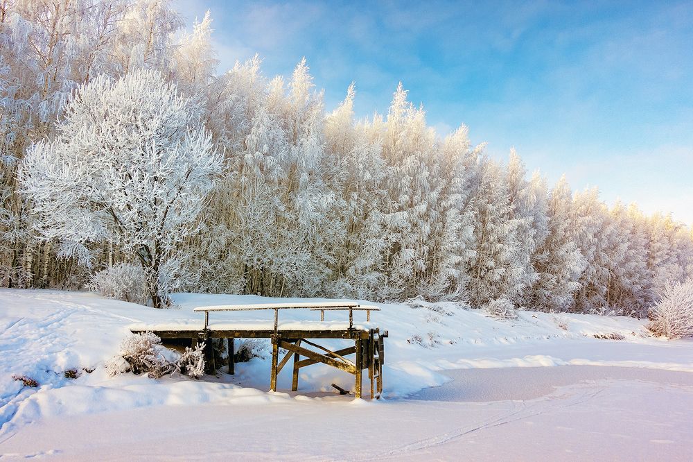 Photograph by Алексей Окунеев