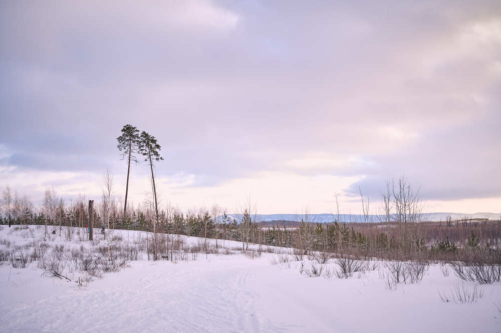 Photograph by Татьяна Соснина