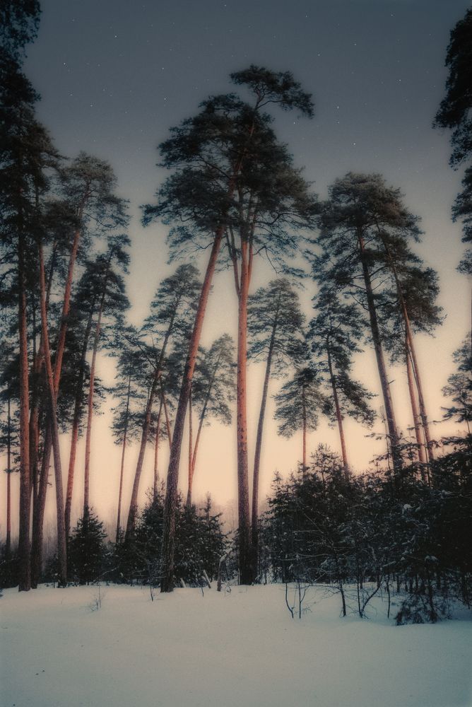 Photograph by Марина Пехтерева