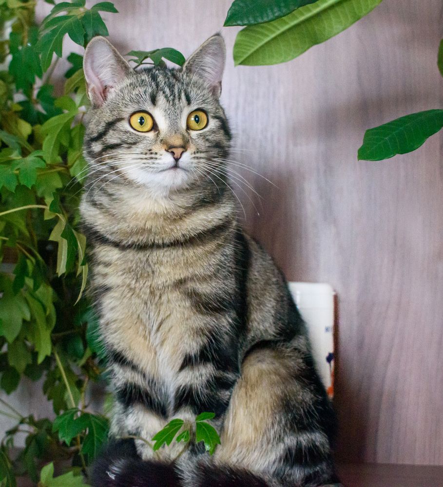 Photograph by Ирина Корнева