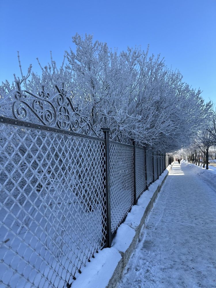 Photograph by Елена Клейменова