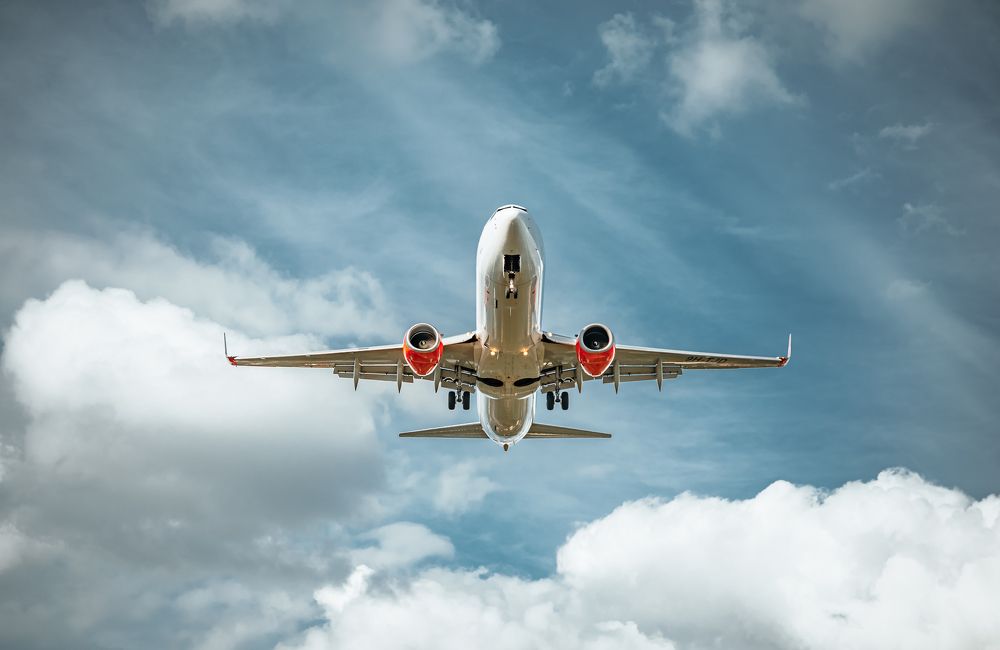 Photograph by Nicholas Art