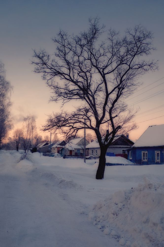 Photograph by Марина Пехтерева