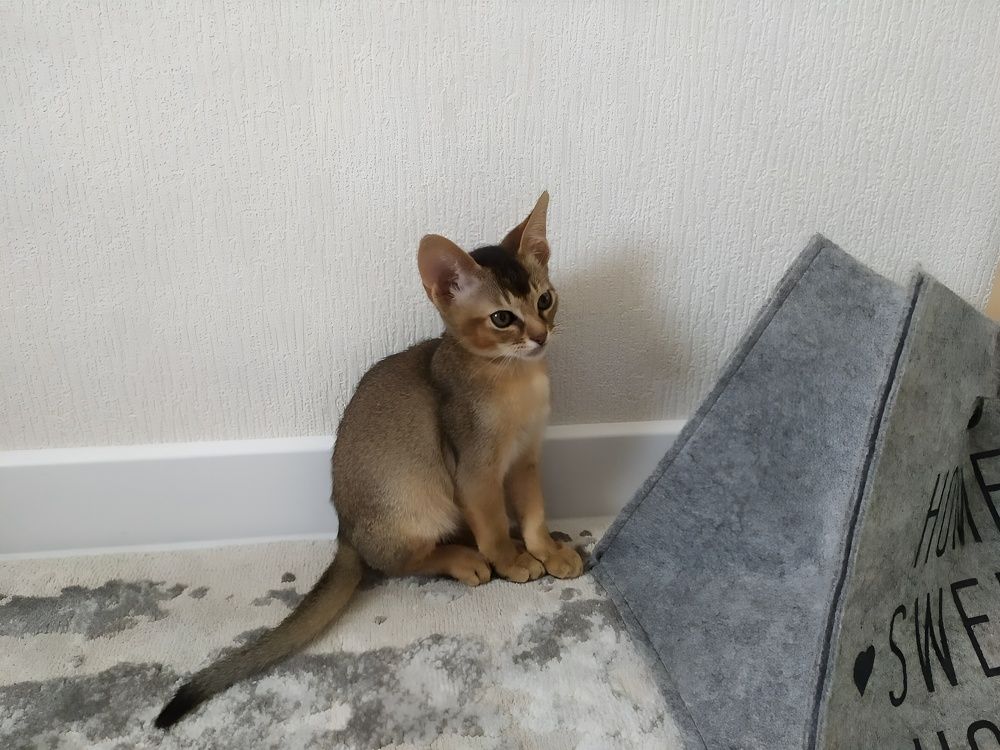 Photograph by Елена Сухорученкова