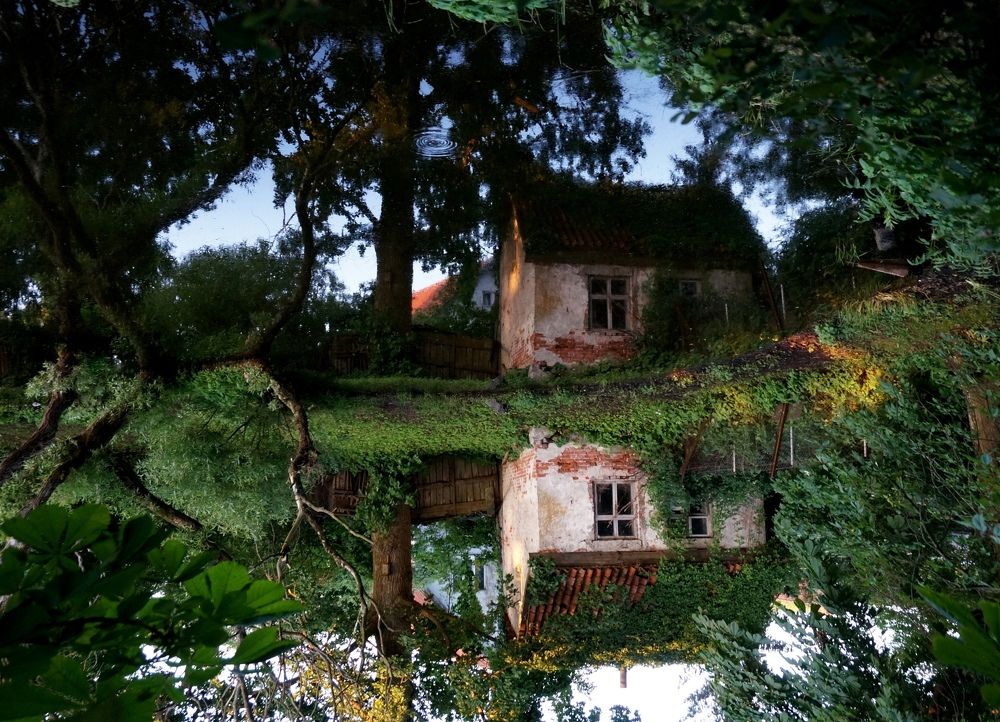 Photograph by Михаил Янкин