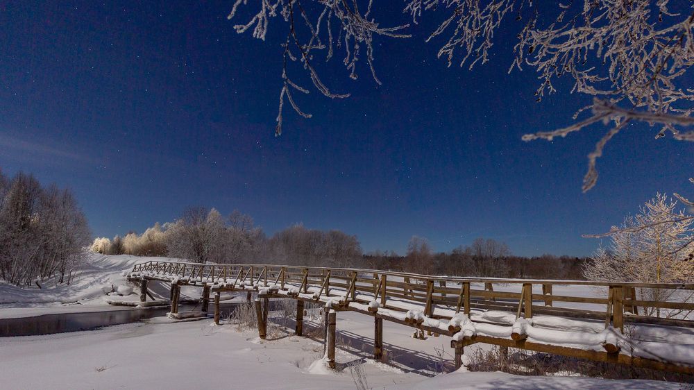 Photograph by Vera Komarova