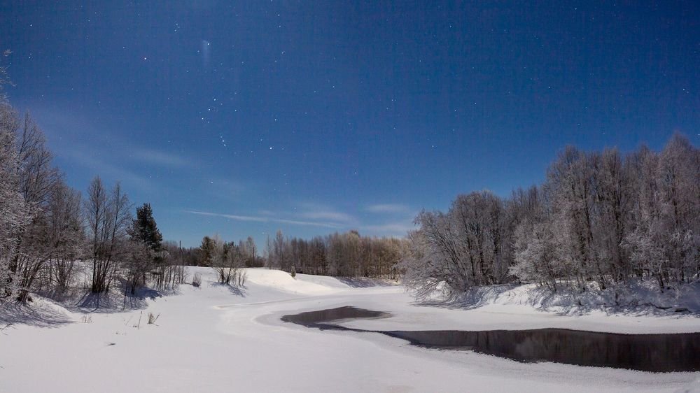 Photograph by Vera Komarova