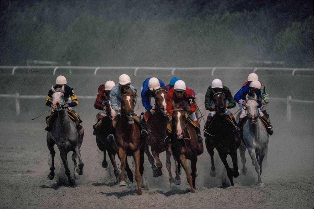 Photograph by Celal Oflaz