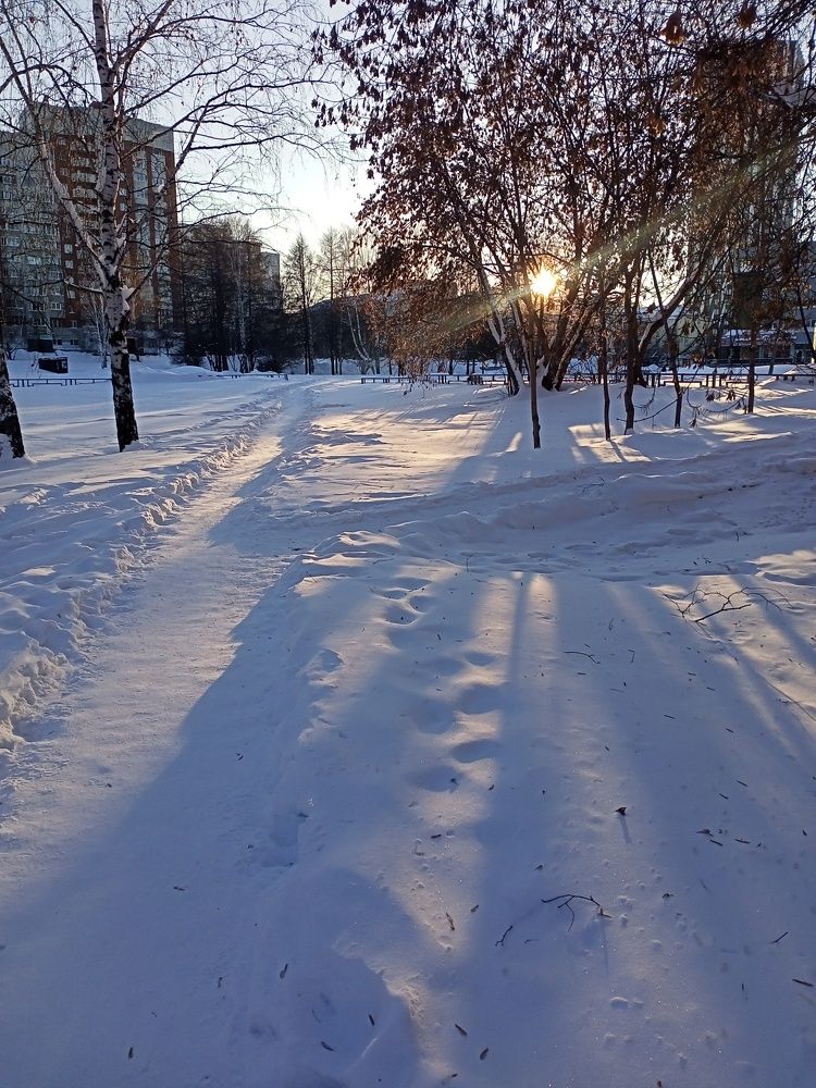 Photograph by olga