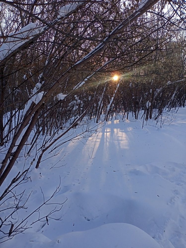 Photograph by olga