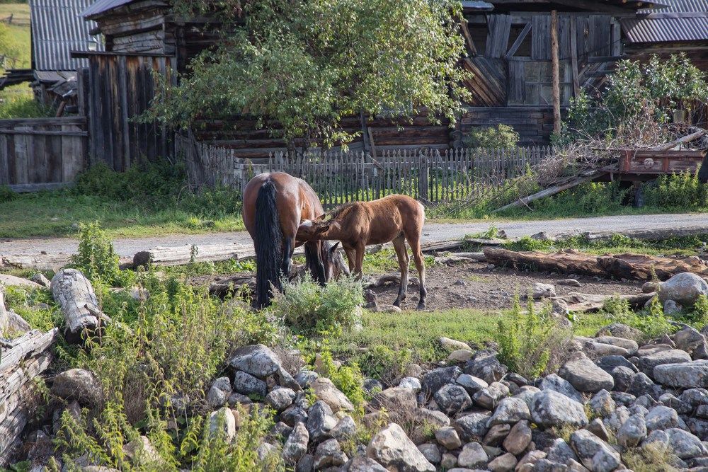 Photograph by Максим Фролов