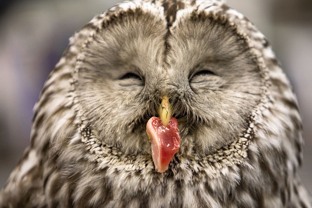 Photograph by Константин Ложеницын