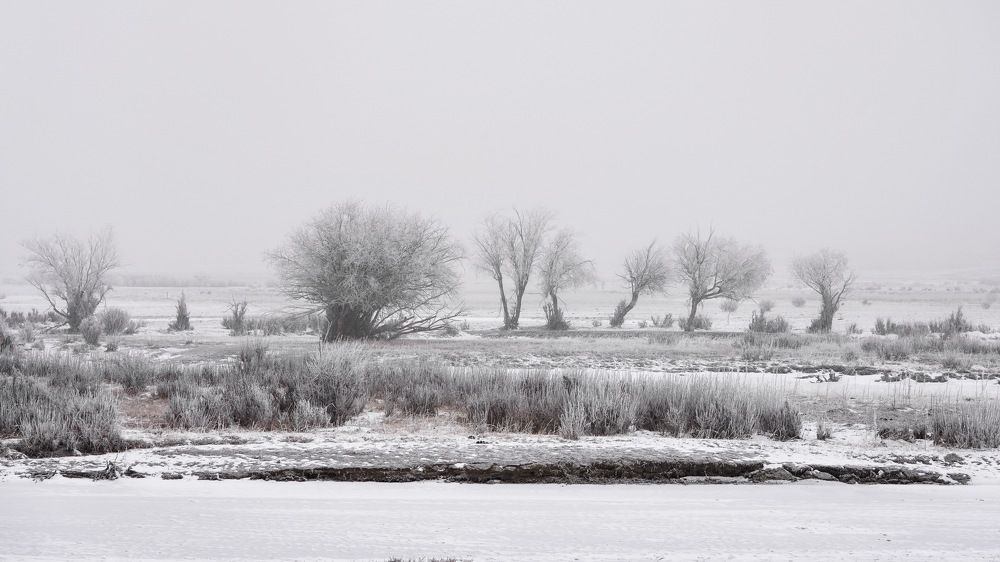 Photograph by Кузнецов Андрей