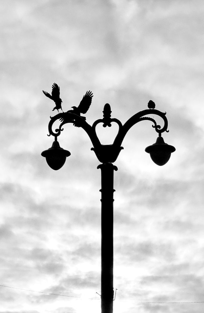Photograph by Екатерина Воротникова