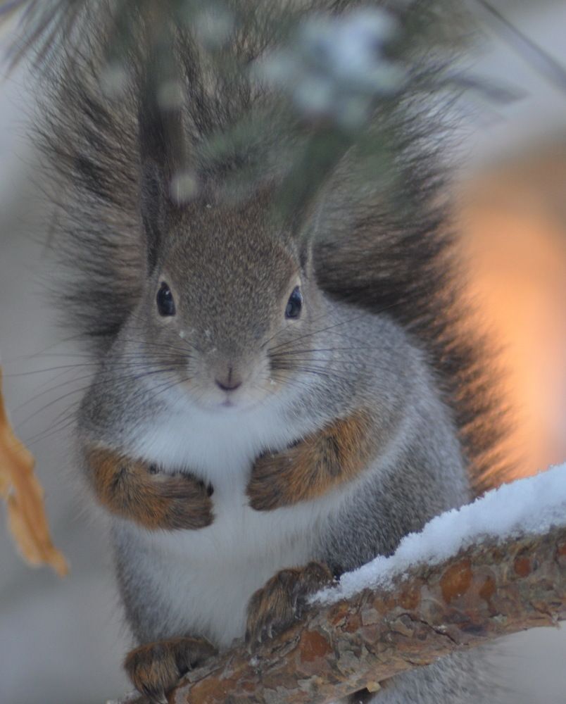 Photograph by Николай Леухин