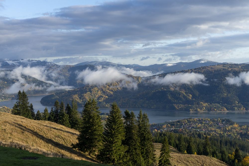 Фотография автора Ирина Зайцева