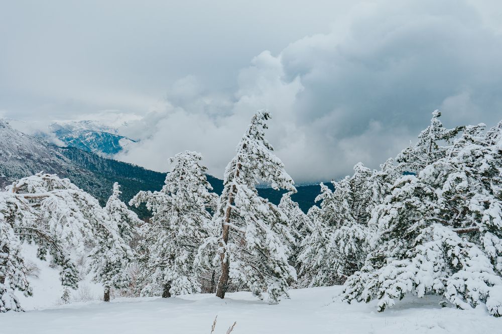 Photograph by Ксения Плоткина