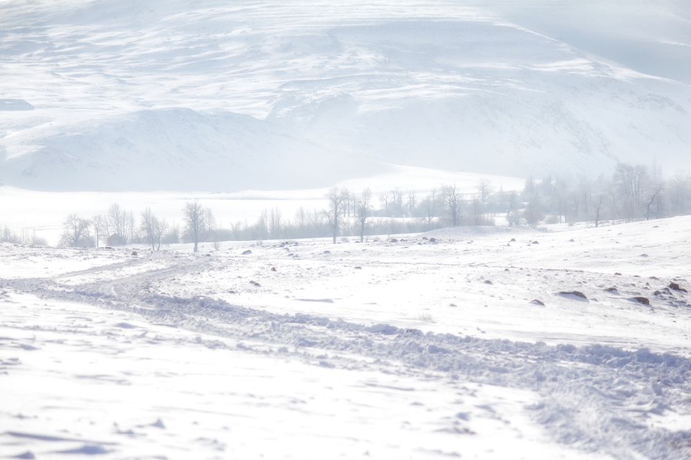 Photograph by Юлия Зубкова