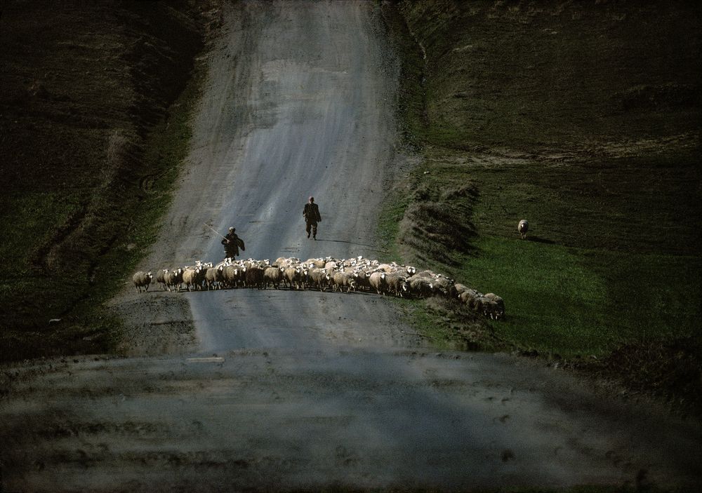 Photograph by Celal Oflaz