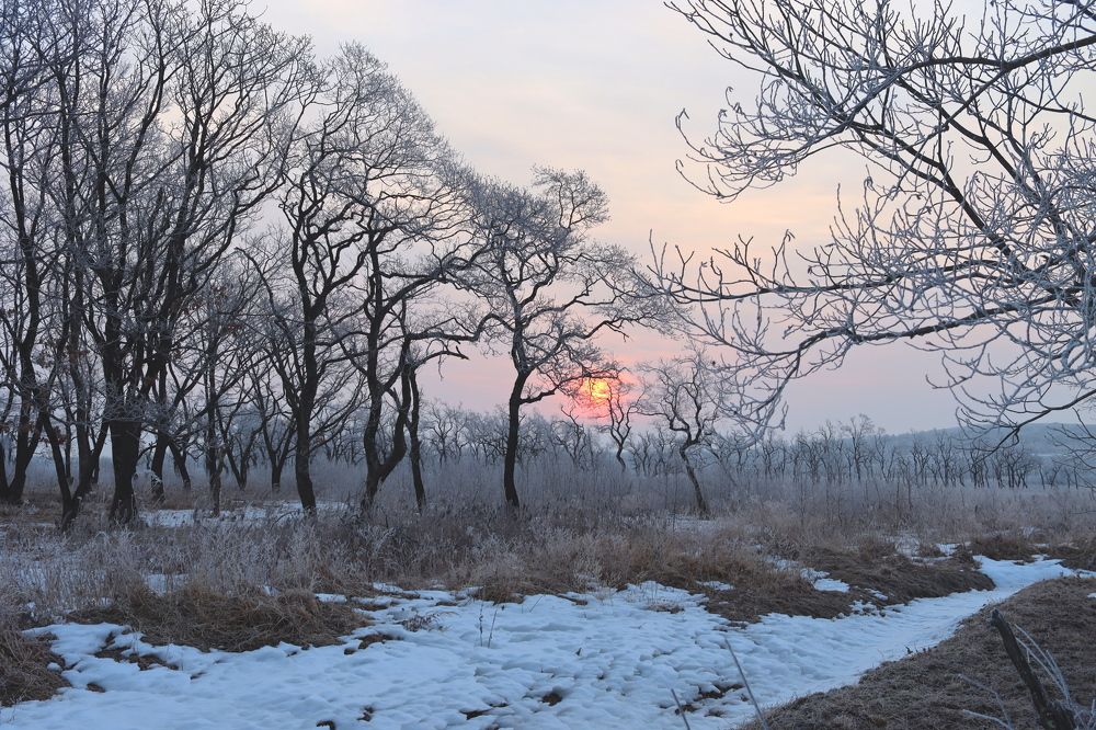 Photograph by Нина Ларина