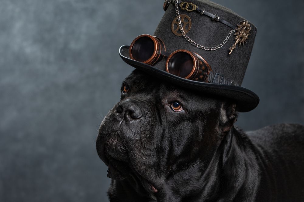 Photograph by Юлия Зубкова