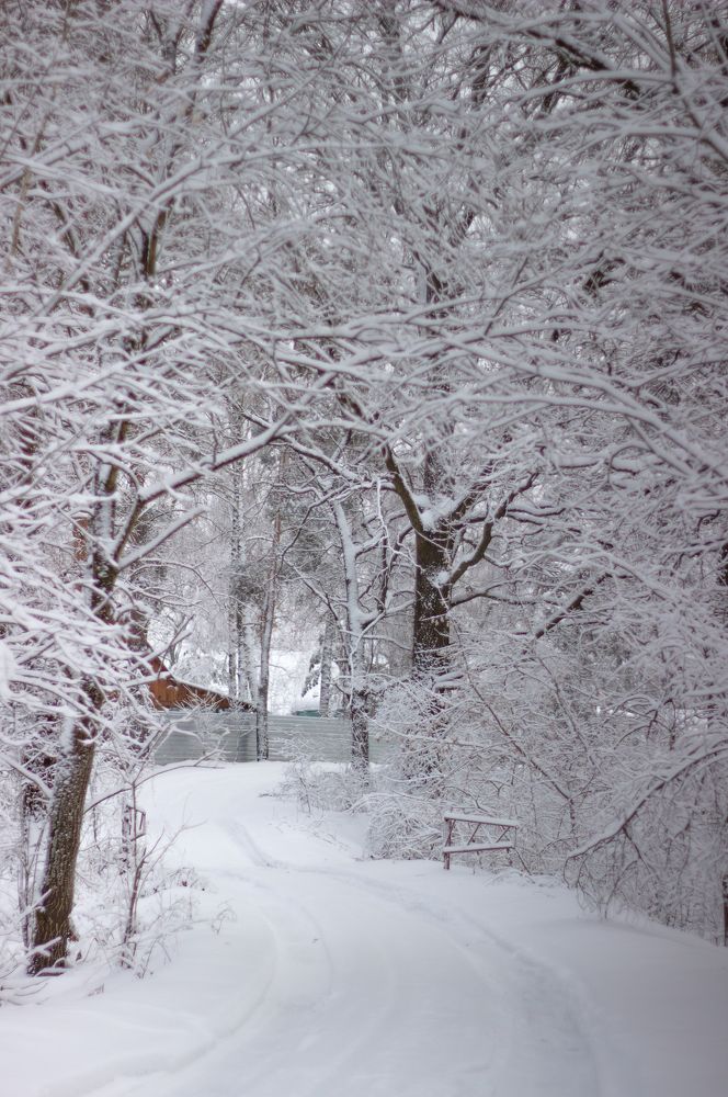 Фотография автора Анна Мисякова