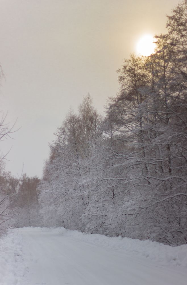 Фотография автора Анна Мисякова