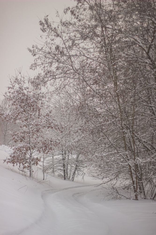 Фотография автора Анна Мисякова