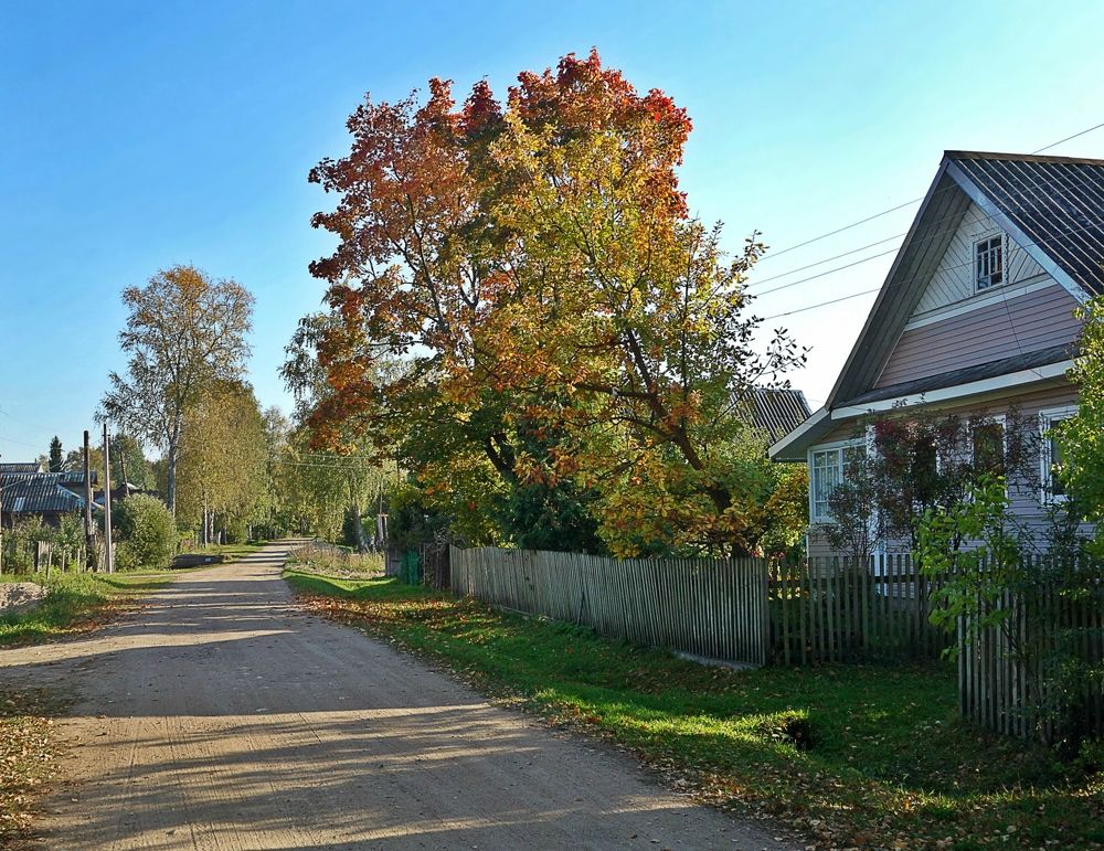 Photograph by IRINA KORNEVA