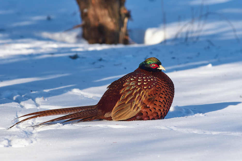 Photograph by Сторчилов Павел