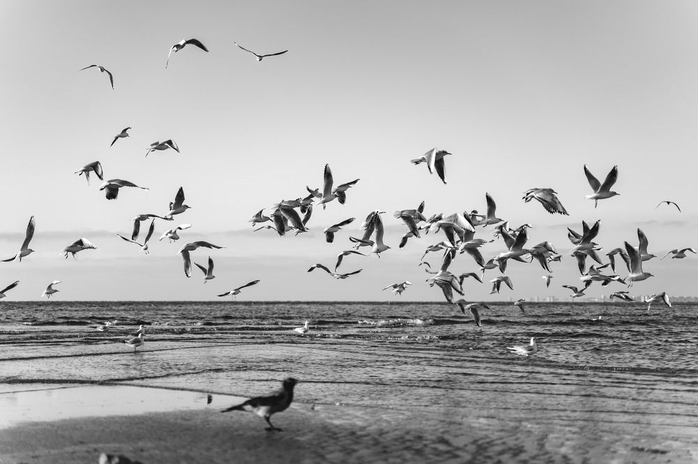 Photograph by Дмитрий Бутенко