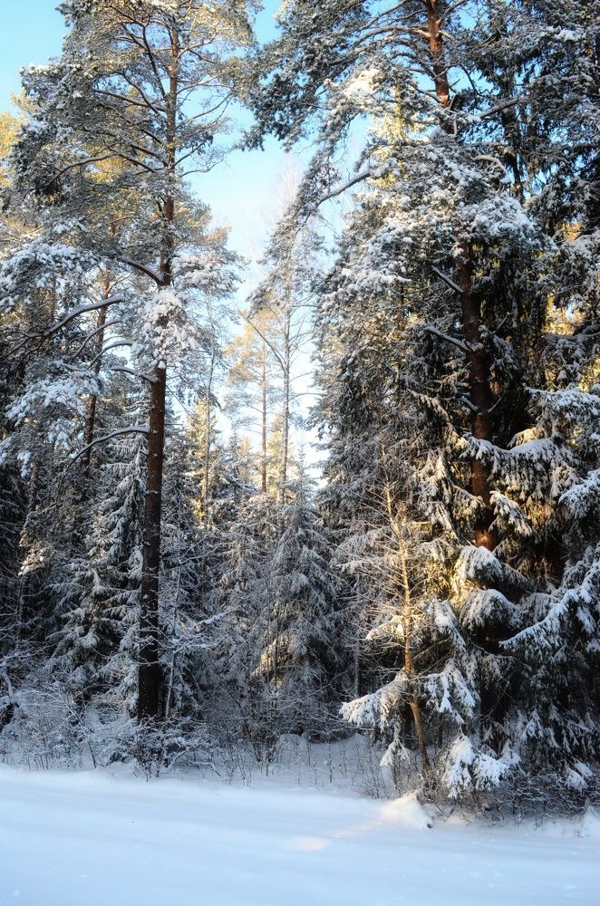 Photograph by Вероника Матиевская