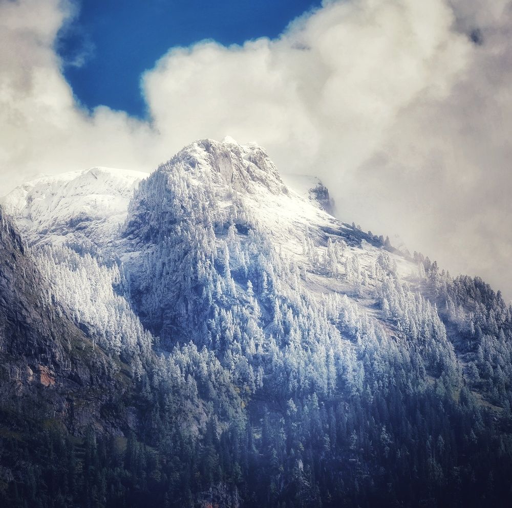 Photograph by Natalia Bolotenkova